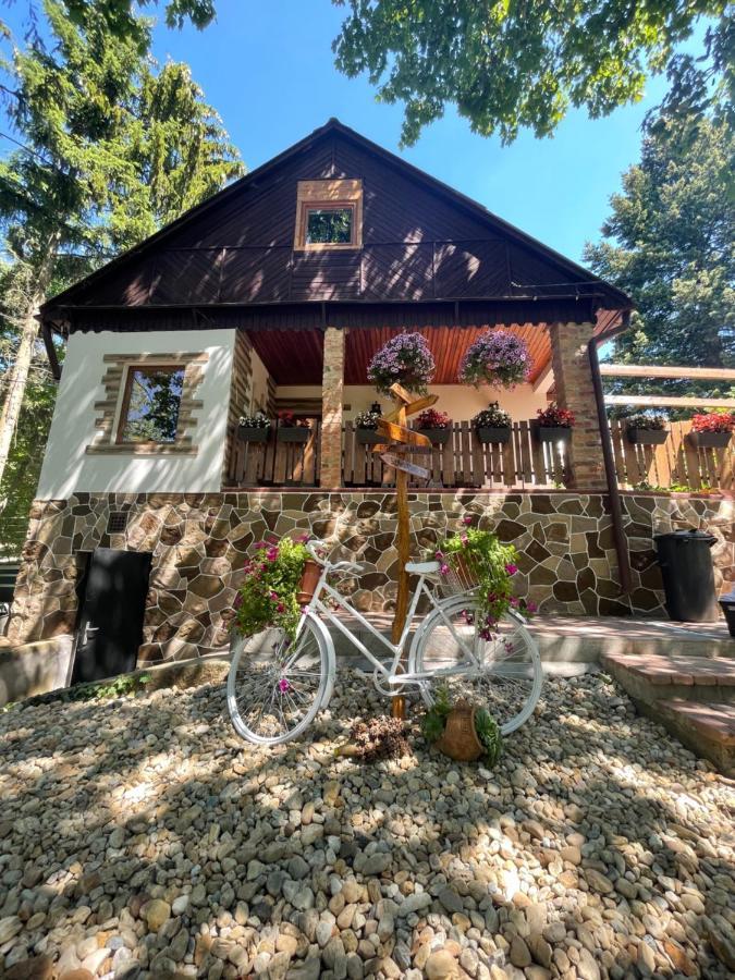 Cityside Cottage エゲル エクステリア 写真