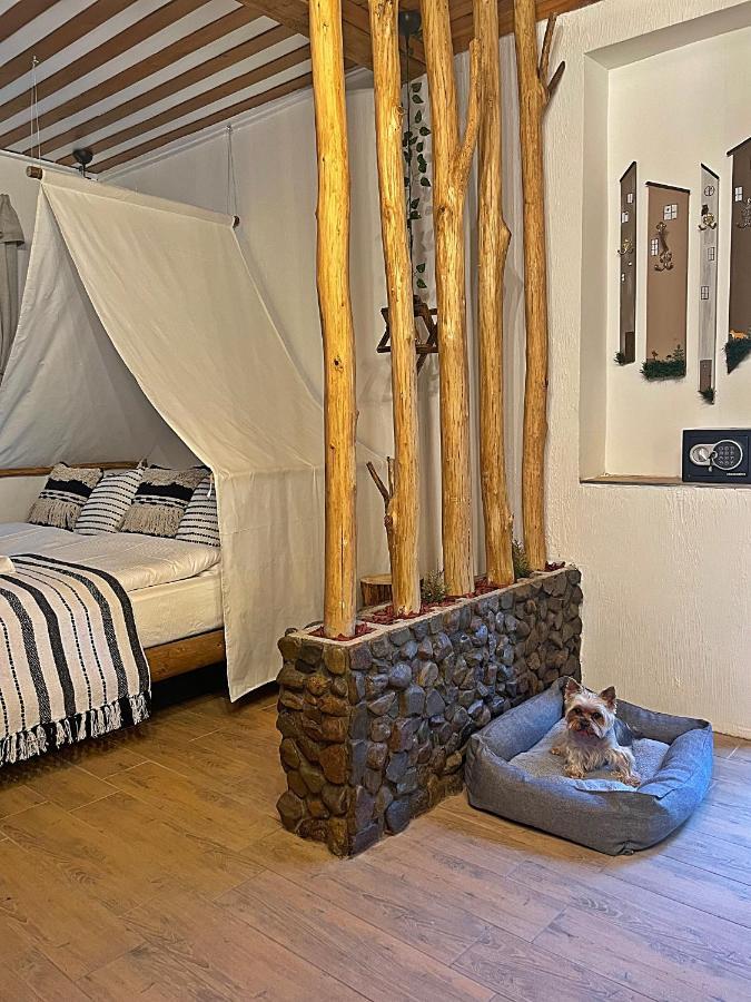 Cityside Cottage エゲル エクステリア 写真